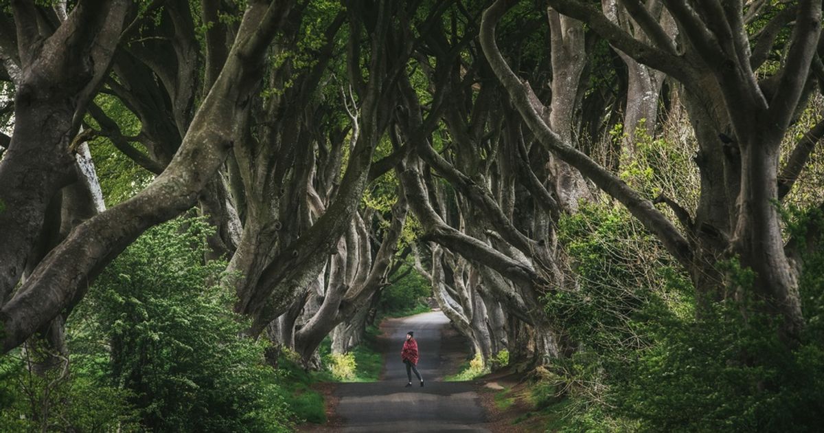 A Travel Photographer Captures the Beauty of Nature During His Expeditions