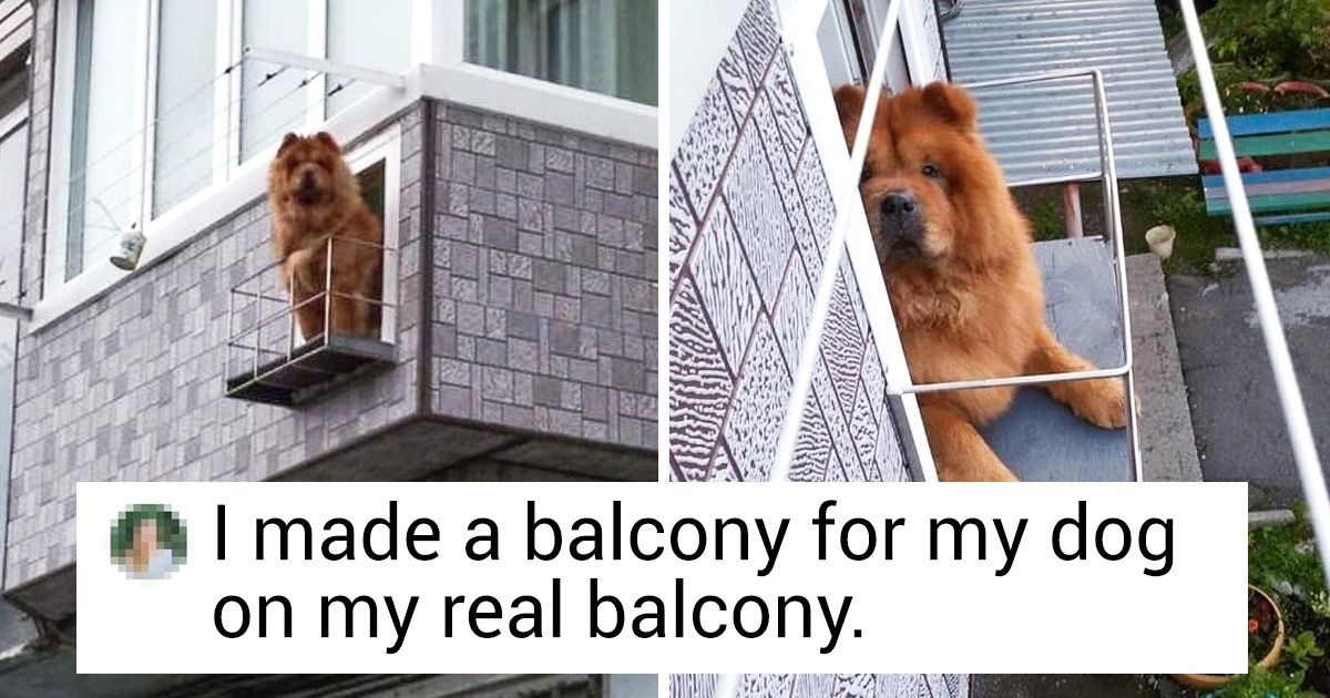 11 Photos That Prove People’s Creativity Knows No Limits