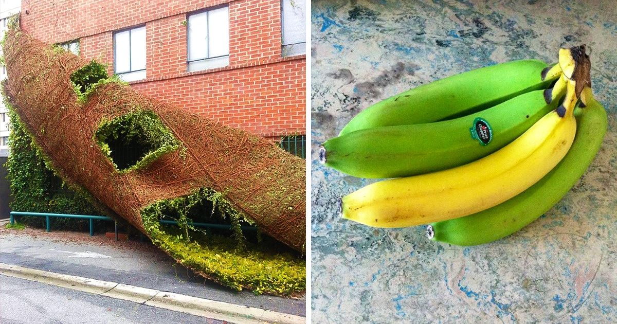 19 Sights That Scream Insanity
