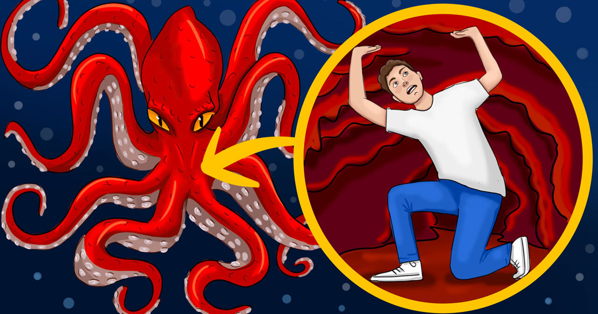 What If the Kraken Swallowed You Whole