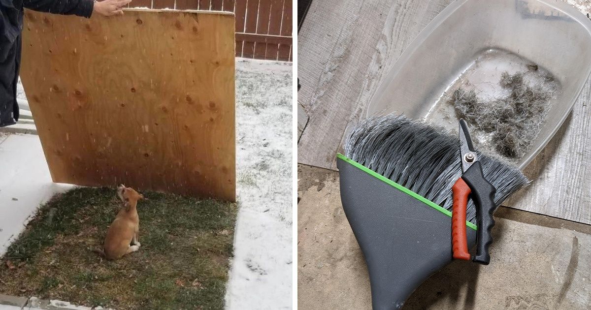 13 People That Found Very Creative Solutions to Common Domestic Problems 13 People That Found Very Creative Solutions to Common Domestic Problems