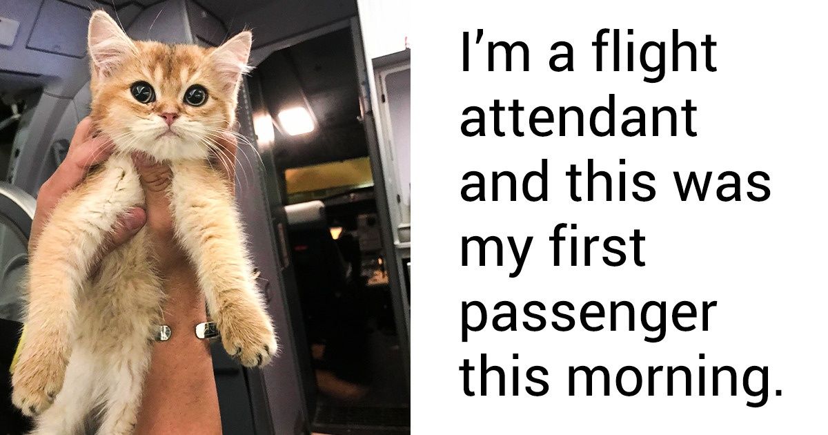 Reddit Users Share 16 Times Pets Made Their Life a Bit Sweeter Reddit Users Share 16 Times Pets Made Their Life a Bit Sweeter