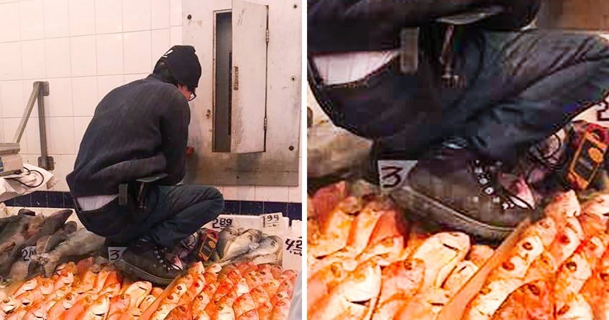 15 Photos of Situations We Couldn’t Explain Even If We Tried