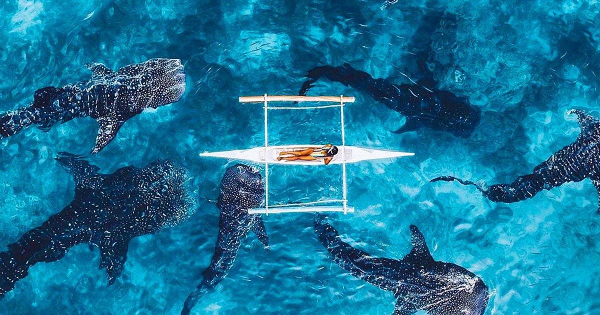 25 Drone Shots That Will Make You Wish You Had Wings 25 Drone Shots That Will Make You Wish You Had Wings