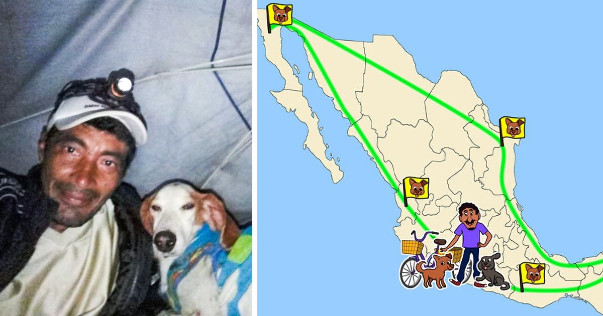 A Man Rescues 500 Abandoned Dogs and Gets Them a New Home While Driving Across Mexico on His Tricycle A Man Rescues 500 Abandoned Dogs and Gets Them a New Home While Driving Across Mexico on His Tricycle