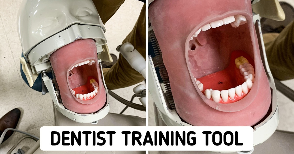 17 Pics That We Totally Didn’t Expect to See Today