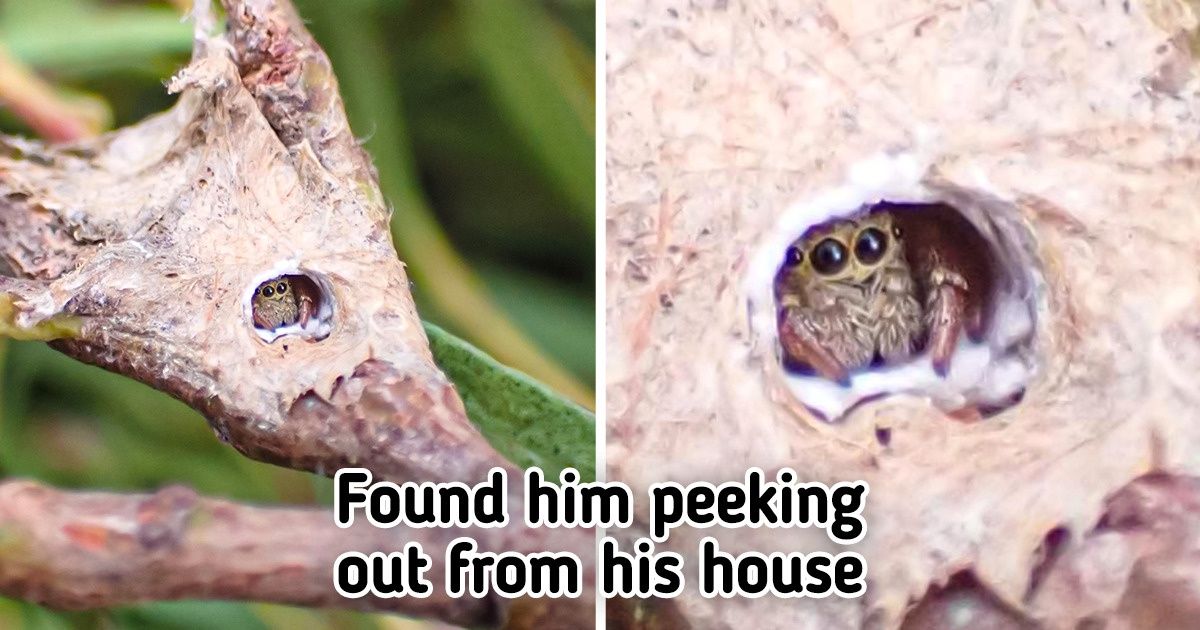 20 Fleeting Moments That Made People Smile From Ear to Ear