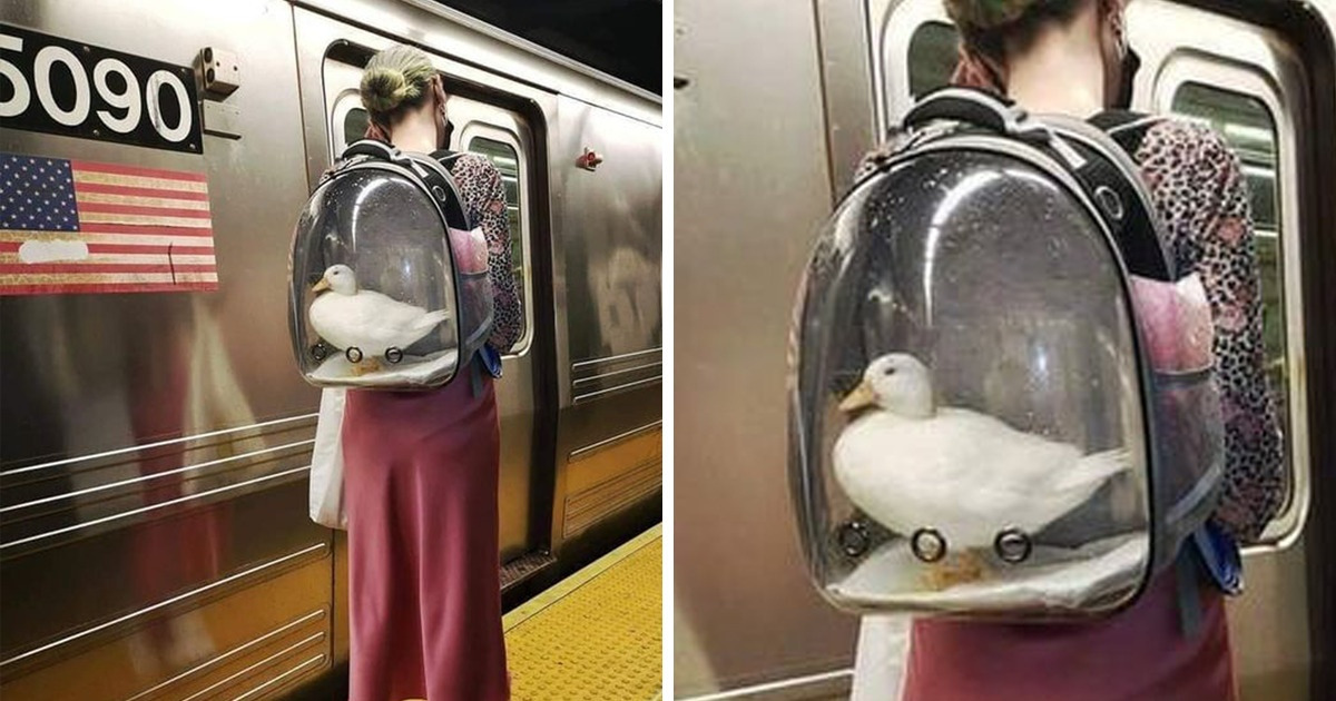 15 Things We Never Imagine Seeing Until We’re Surprised by Life Once Again 15 Things We Never Imagine Seeing Until We’re Surprised by Life Once Again