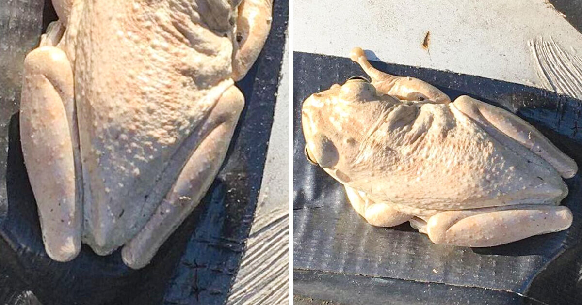 15+ Photos That Betray Our Reality