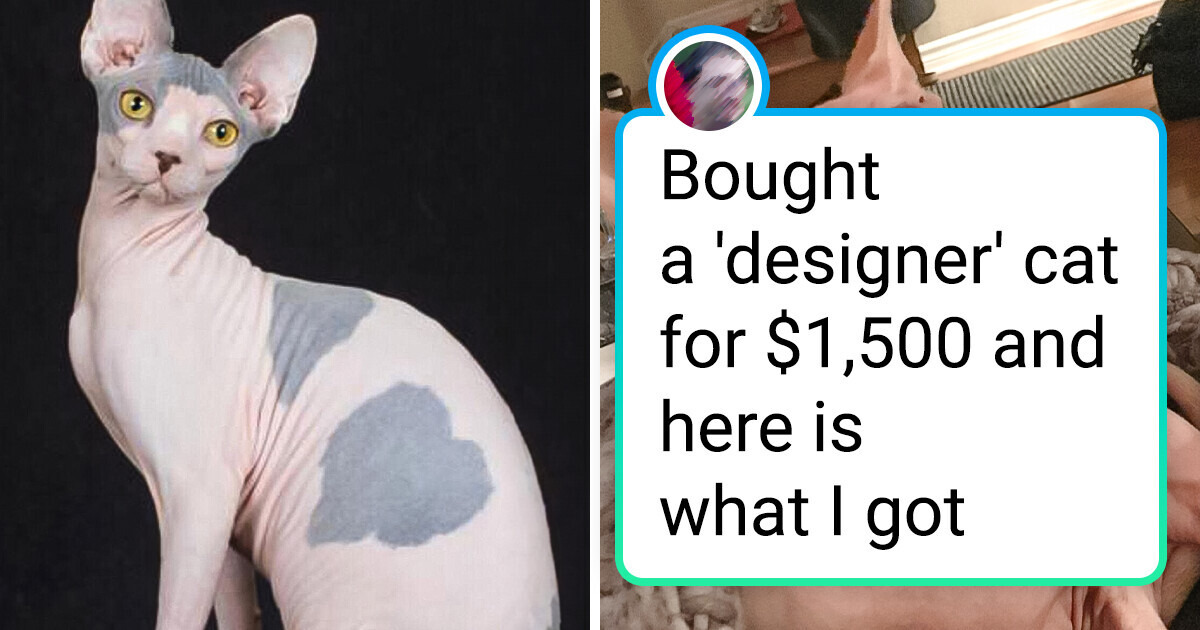 17 Photos That Show Such a Huge Difference That You’ll Second-Guess Reality
