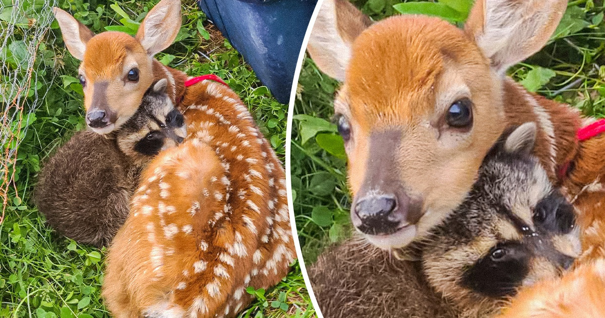 15 People Whose Day Went From Good to Wonderful