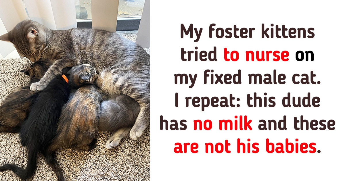 20+ Photos That Are Bursting With Happy Hormones