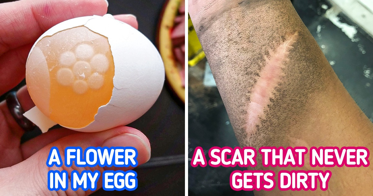 19 Times People Noticed Weird Things They Usually Ignore 19 Times People Noticed Weird Things They Usually Ignore
