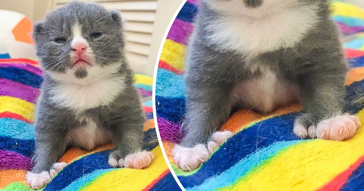 19 Pics Reminding Us That the Universe Has a Lot of Surprises