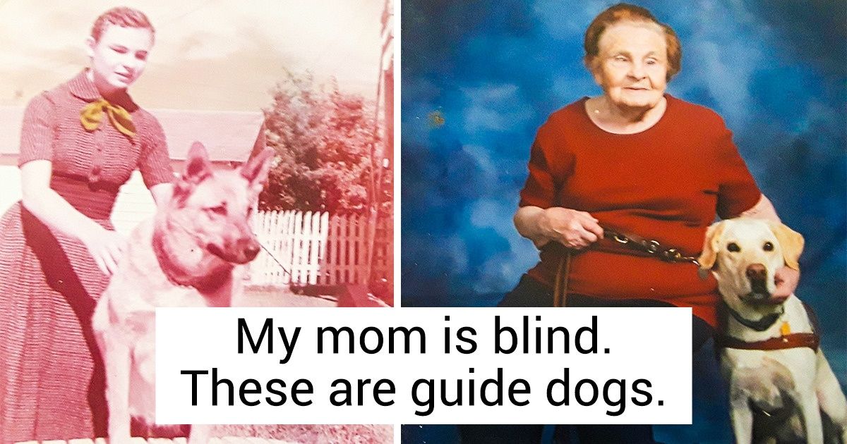 15+ Photos That Are Filled With Sweet Sadness 15+ Photos That Are Filled With Sweet Sadness