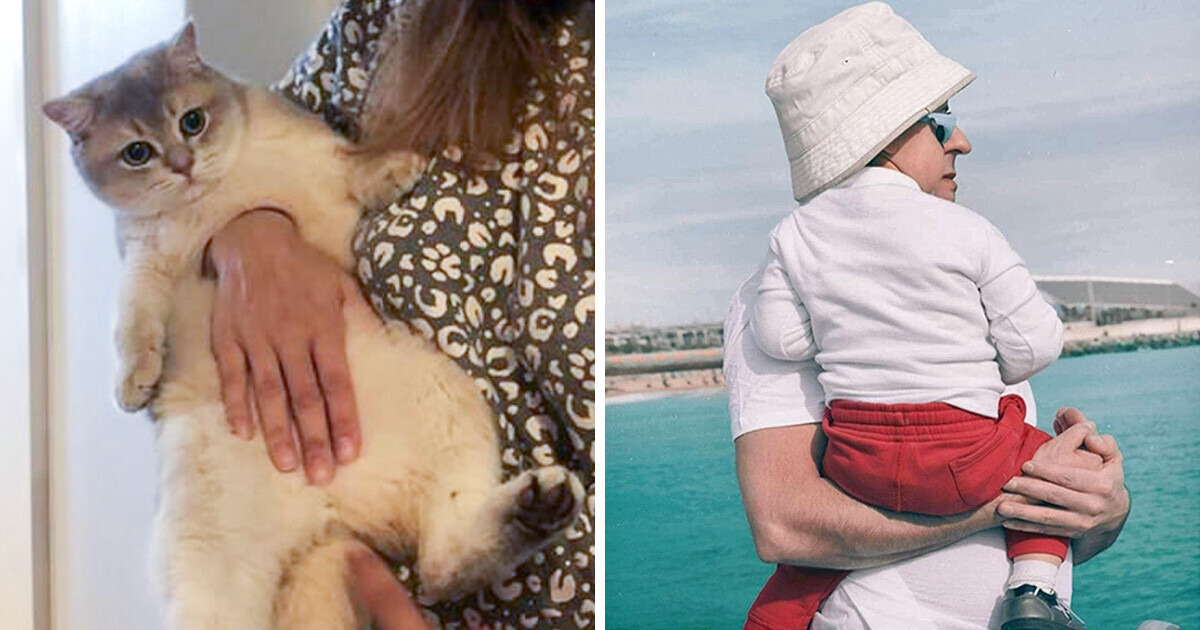 10+ Confusing Pictures That Show Timing Is Everything 10+ Confusing Pictures That Show Timing Is Everything