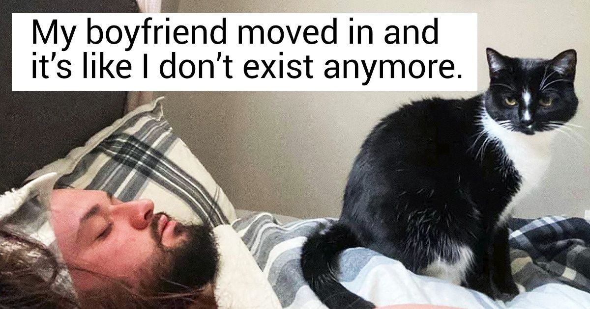 Bright Siders Share 20+ Photos of Their Pets Who Make Every Day Into a Warm Memory Bright Siders Share 20+ Photos of Their Pets Who Make Every Day Into a Warm Memory