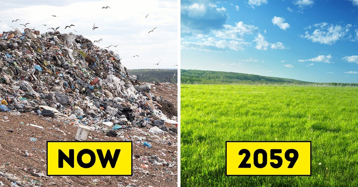 Terrific News: Scientists Discovered Worms That Can Save Our Planet by Eating Plastic Terrific News: Scientists Discovered Worms That Can Save Our Planet by Eating Plastic