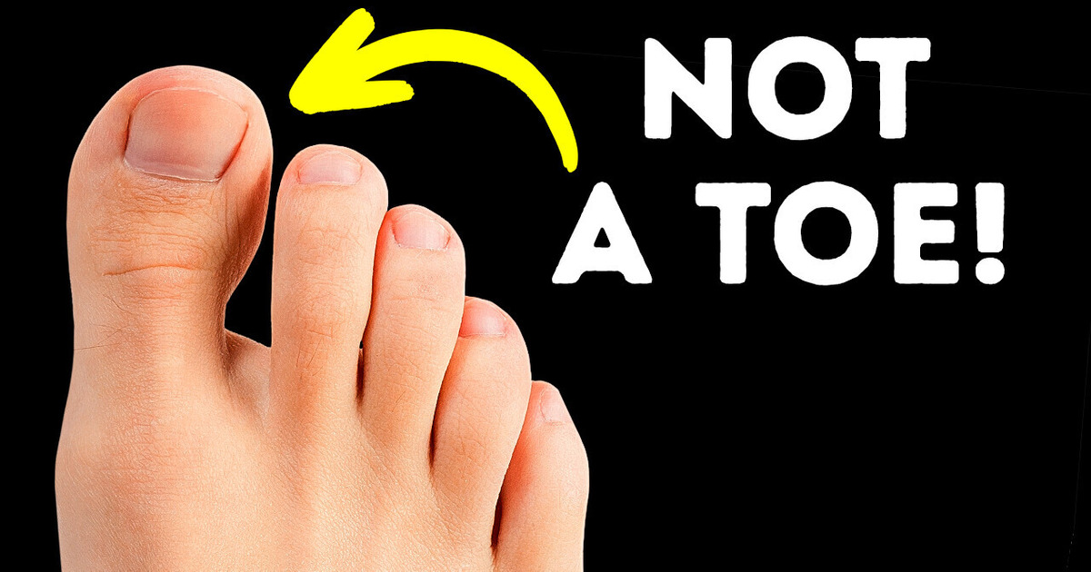 26 Things That Have More Than Their Obvious Purposes