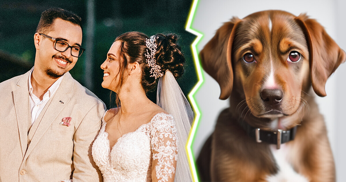 A Pet-Friendly Wedding Sparks Discussion: Children Are NOT Invited, Dogs Are Welcome A Pet-Friendly Wedding Sparks Discussion: Children Are NOT Invited, Dogs Are Welcome