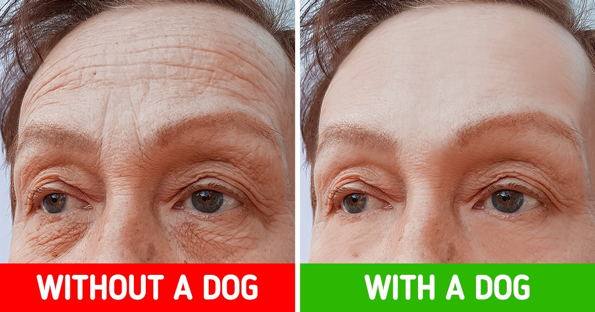Your Dog Can Help You Live Longer, and Here’s Why Your Dog Can Help You Live Longer, and Here’s Why