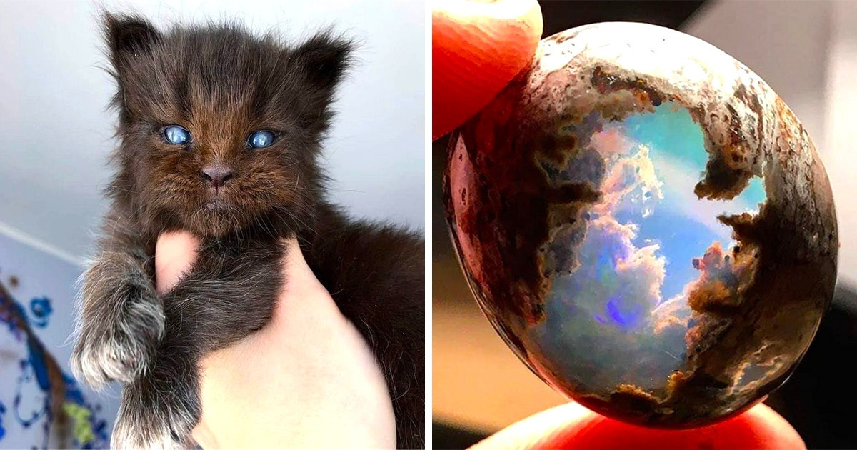 17 Wonders That Are More Unlikely Than Seeing a Unicorn