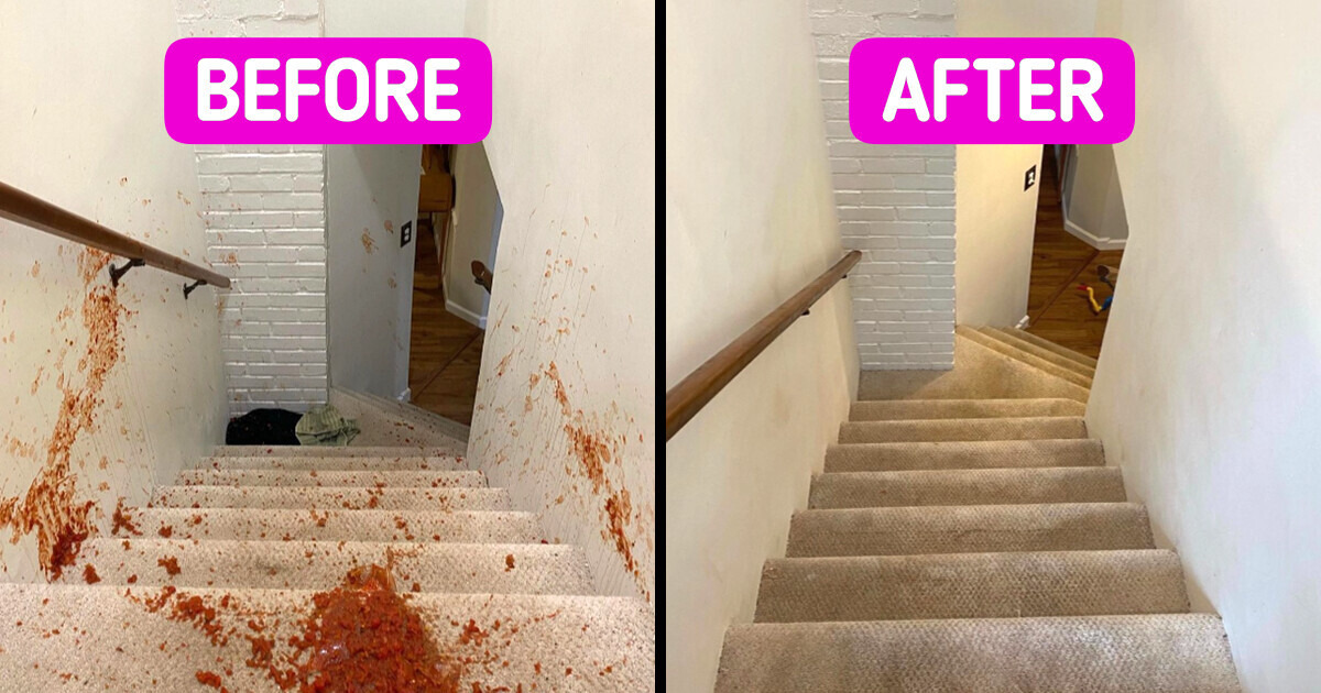 11 cleaning products that will avert any catastrophe