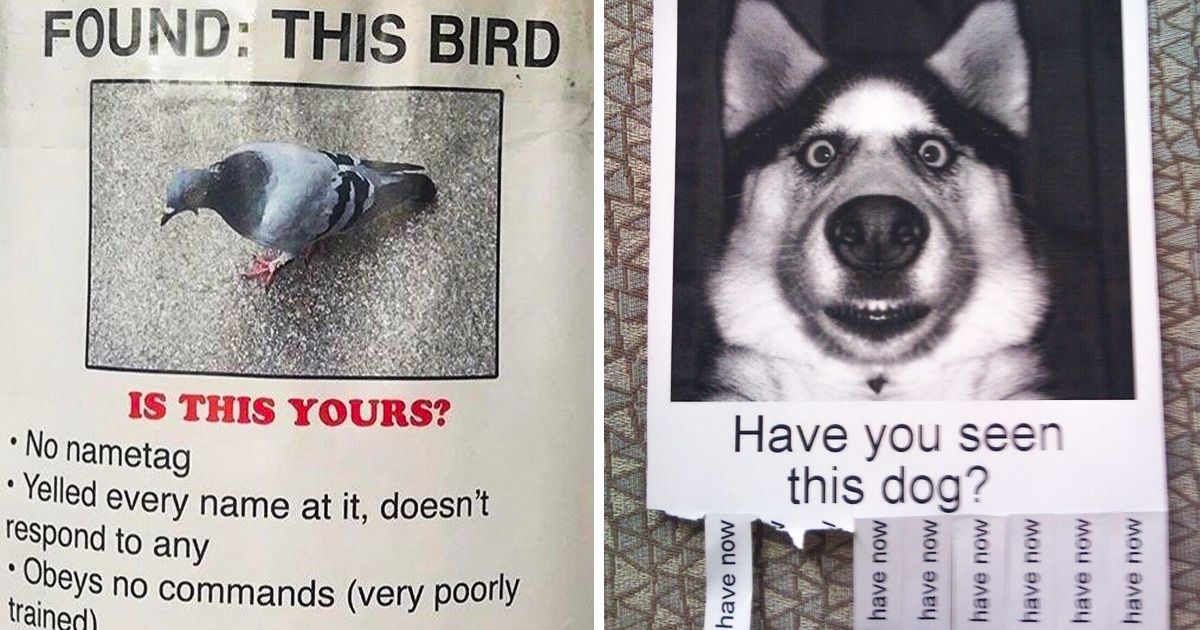 10+ Hilarious Passive-Aggressive Notes That Will Brighten Up Your Day