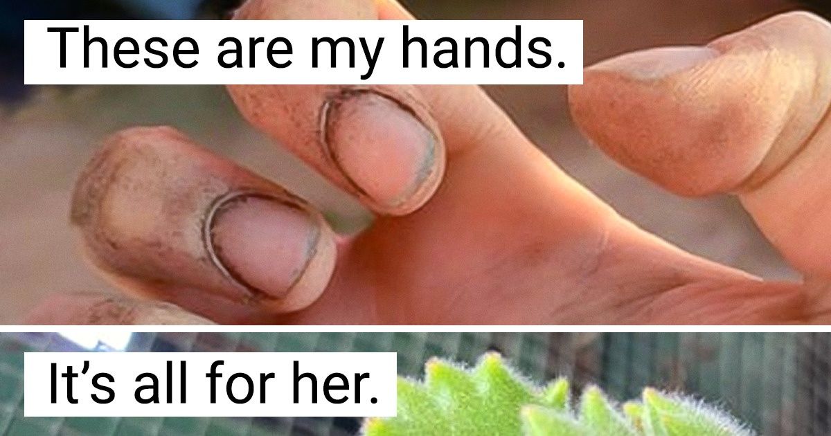20 People Who Fell Madly in Love With Some Really Unique Plants 20 People Who Fell Madly in Love With Some Really Unique Plants