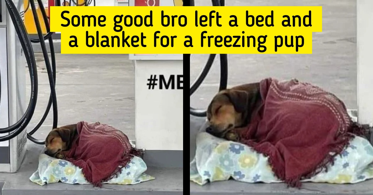 18 Pictures That Prove Love Is the Only Cure Our World Needs