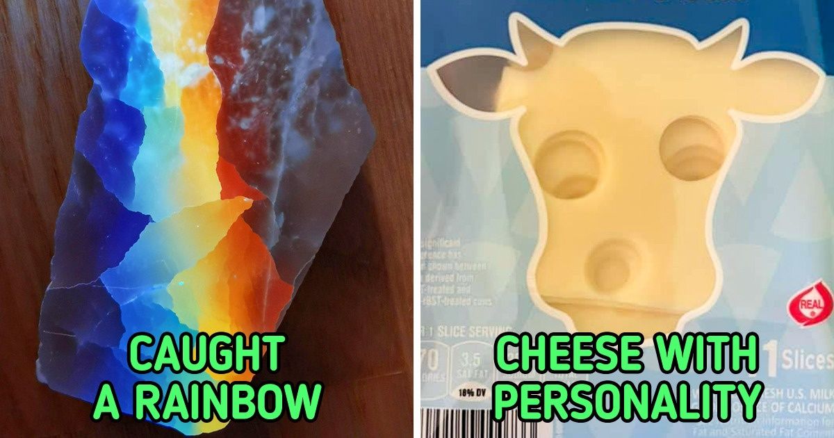 18 People Who Stumbled Upon Something Worth Saving
