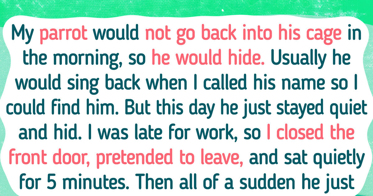 20+ Stories That Prove Pets Are Secretly Evil Geniuses