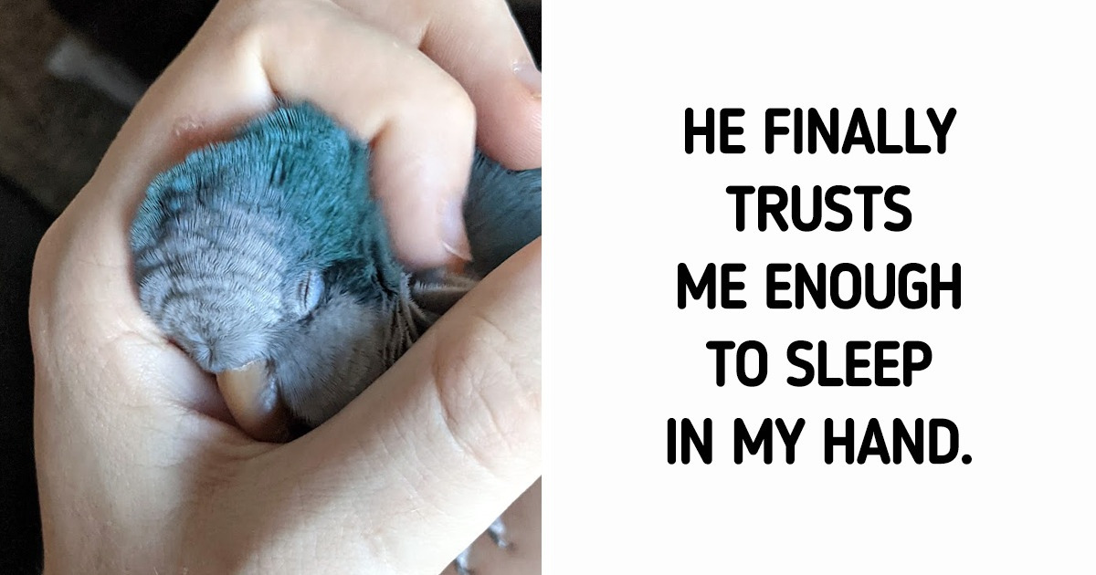 19 Pics That’ll Give You All the Feels at Once