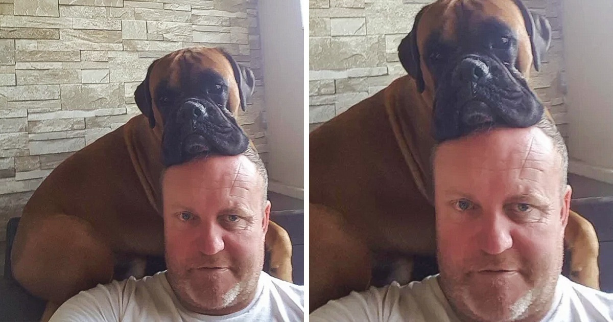 11 Moving Photos That Prove Our Dads and Granddads Are Way Cooler Than Any Superheroes