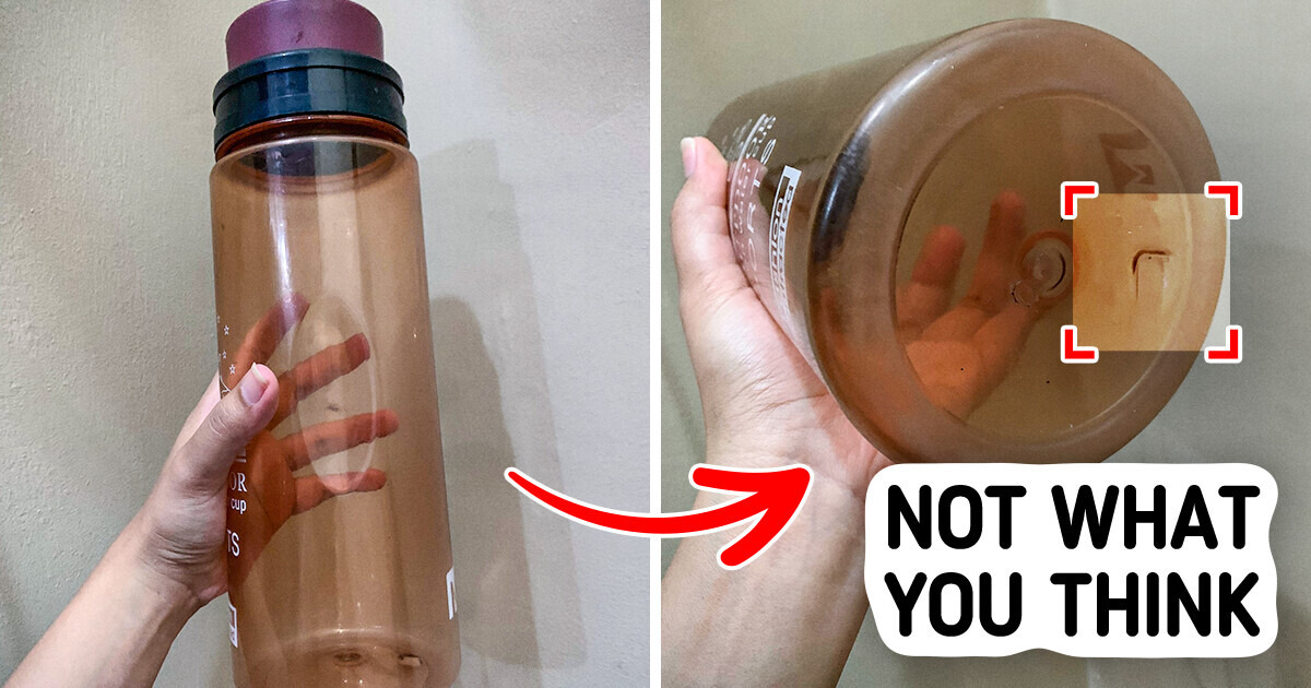 12 Everyday Objects That Have More Than Their Obvious Purposes 12 Everyday Objects That Have More Than Their Obvious Purposes
