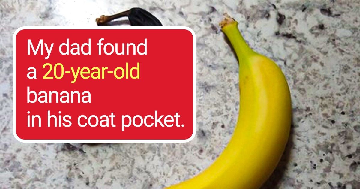 19 People Who Discovered Traces of a Distant Past Hiding in Today’s World