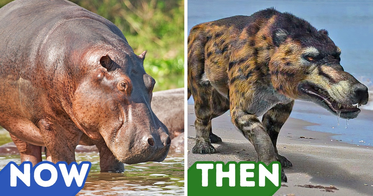 11 Modern Animals That Look Nothing Like Their Ancestors