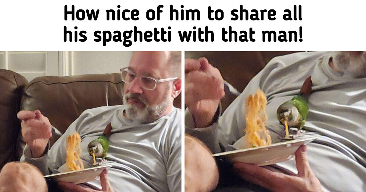 16 Animal Buddy Photos to Chase Away the Gloom