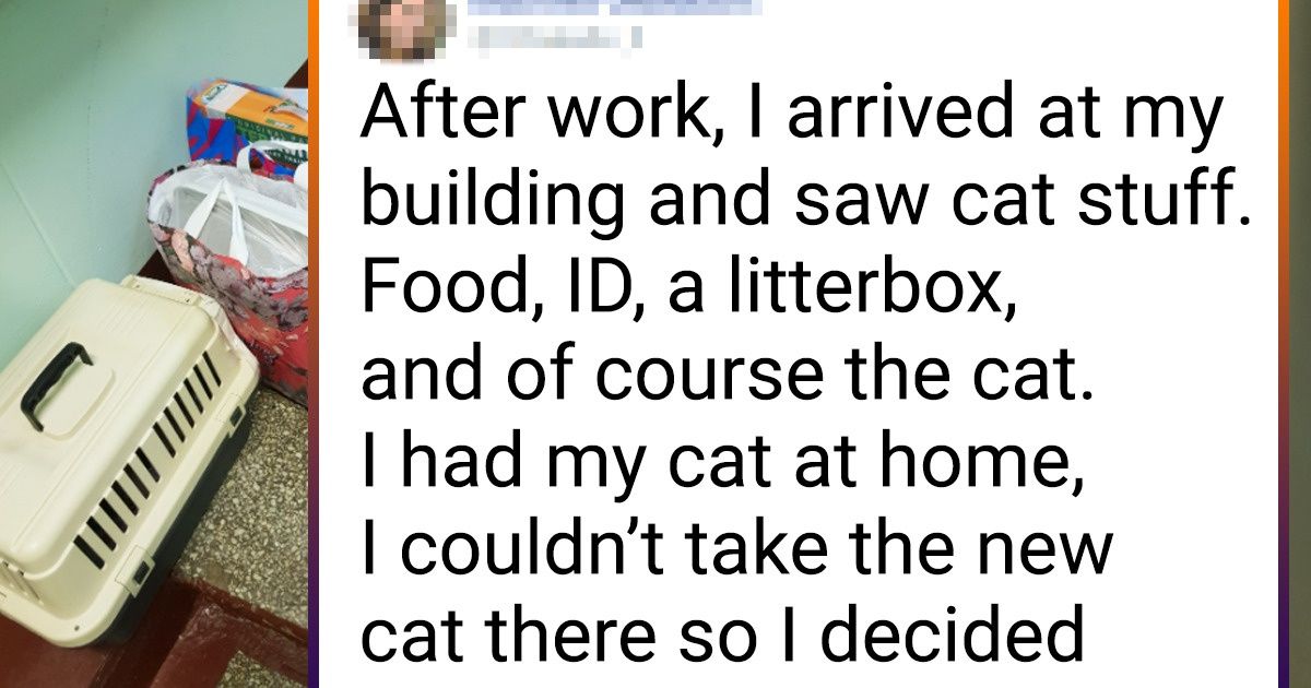 19 People That Became True Guardian Angels for Animals
