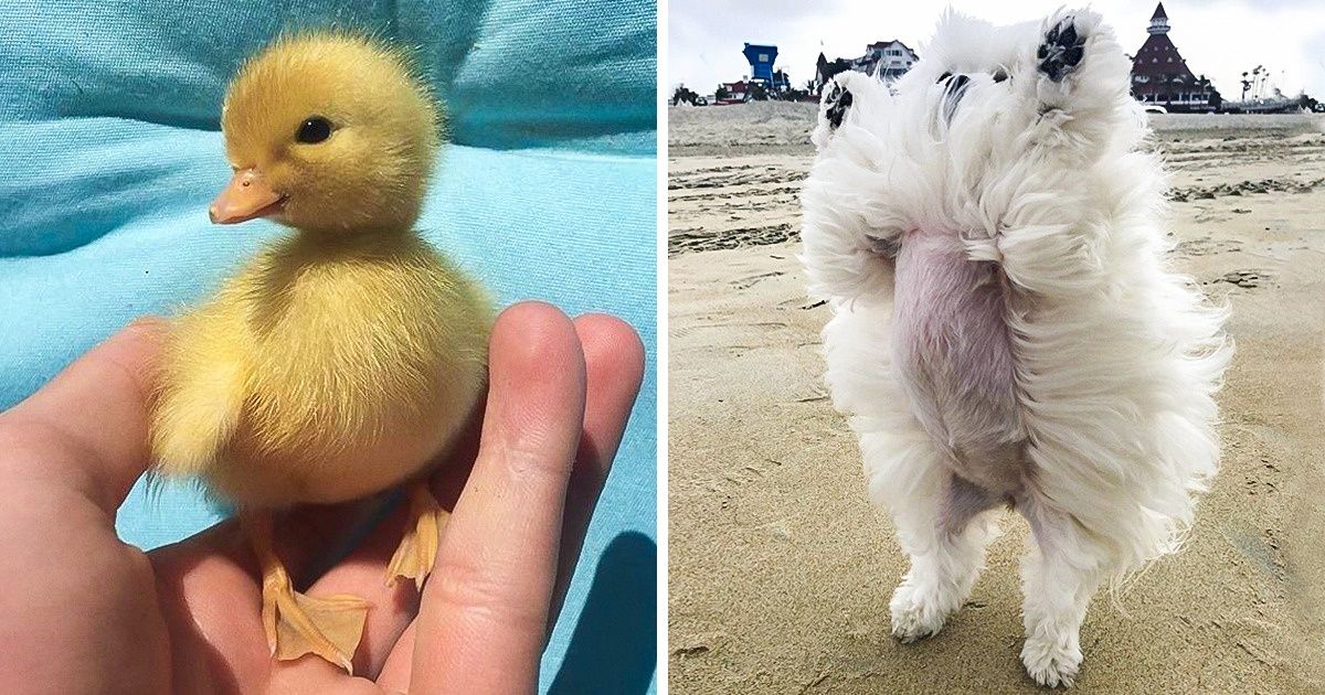 20+ Photos That Can Make Your Life Brighter Than a Sunny Day