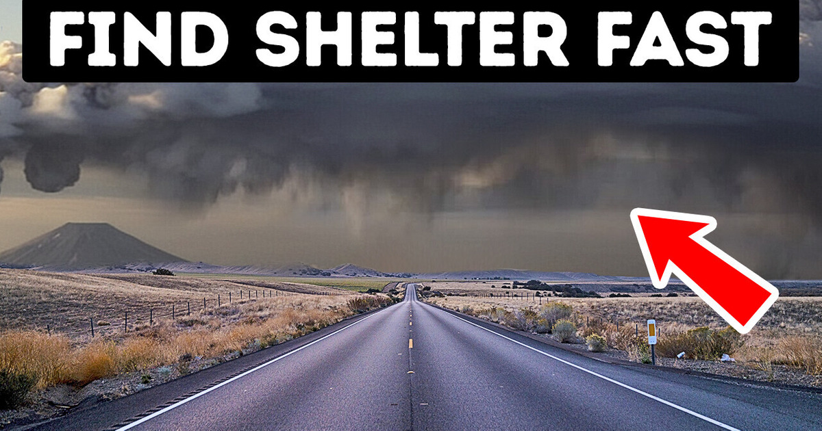 Could We Survive the Pompeii Volcano Eruption Today? Could We Survive the Pompeii Volcano Eruption Today?