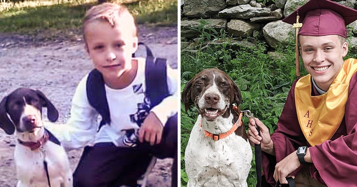 Meet Ruger, an Adopted Dog Who Accompanied His Best Friend to His First Day of School All the Way to Graduation Meet Ruger, an Adopted Dog Who Accompanied His Best Friend to His First Day of School All the Way to Graduation