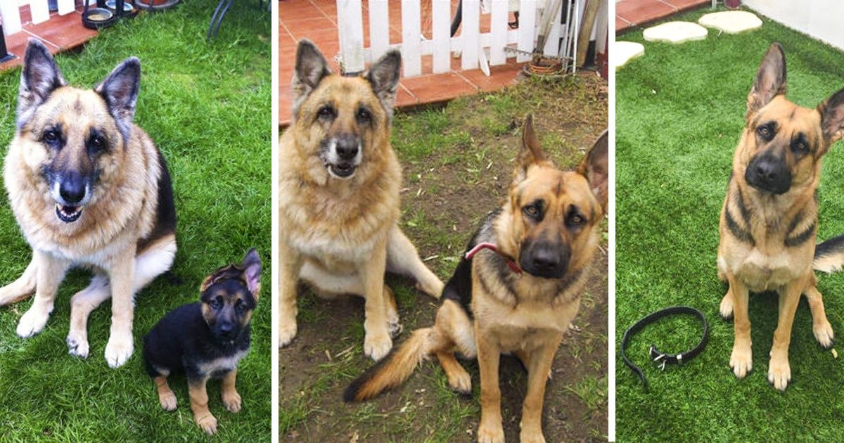 17 Photos That Prove How Merciless Time Really Is