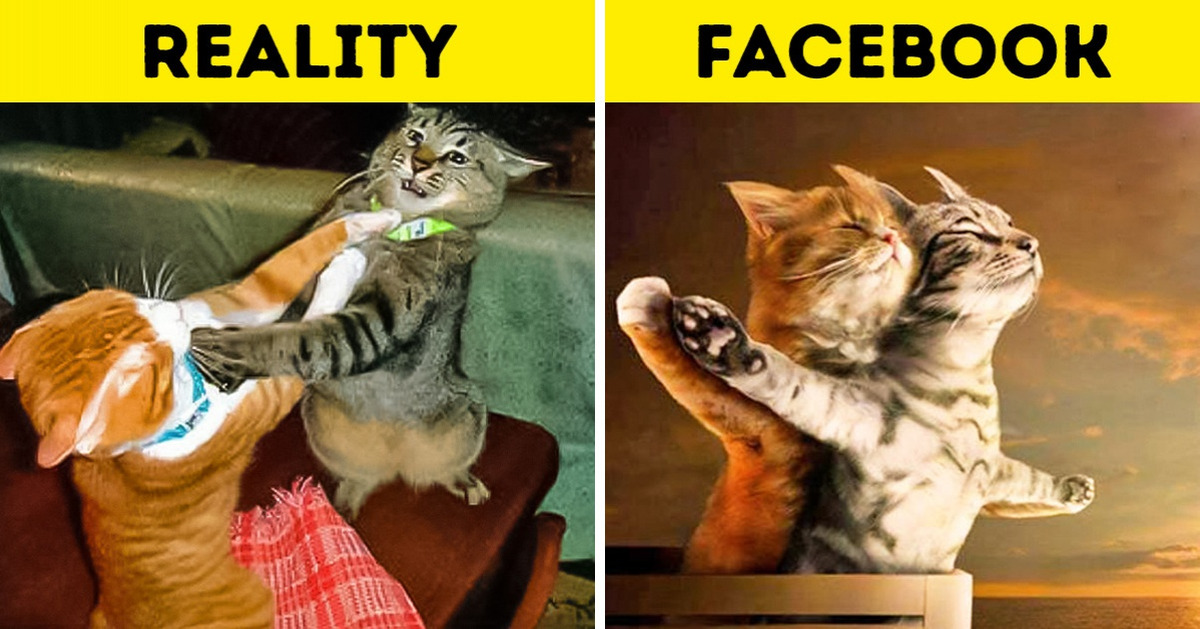 Hilarious Photos Showing the Lies We All Tell on Social Media