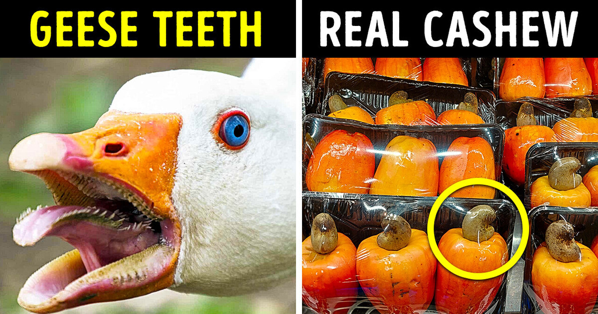 Hidden Gems: 10 Ordinary Objects Reimagined Through a New Lens Hidden Gems: 10 Ordinary Objects Reimagined Through a New Lens