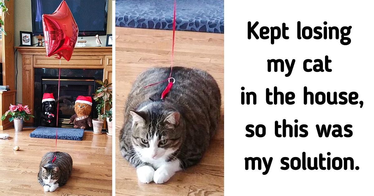 20+ People Who Are Ninjas of Handling Trouble