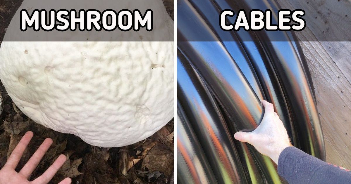 17 Massive Objects Whose Real Size Is Revealed Only When Compared to Something Else 17 Massive Objects Whose Real Size Is Revealed Only When Compared to Something Else