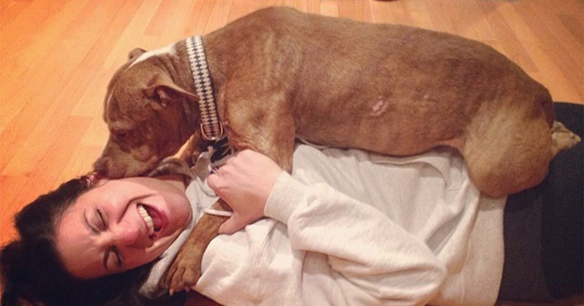 A Couple Saves More Than 100 Old Dogs Nobody Wanted, and We Can’t Hold Back Our Tears A Couple Saves More Than 100 Old Dogs Nobody Wanted, and We Can’t Hold Back Our Tears