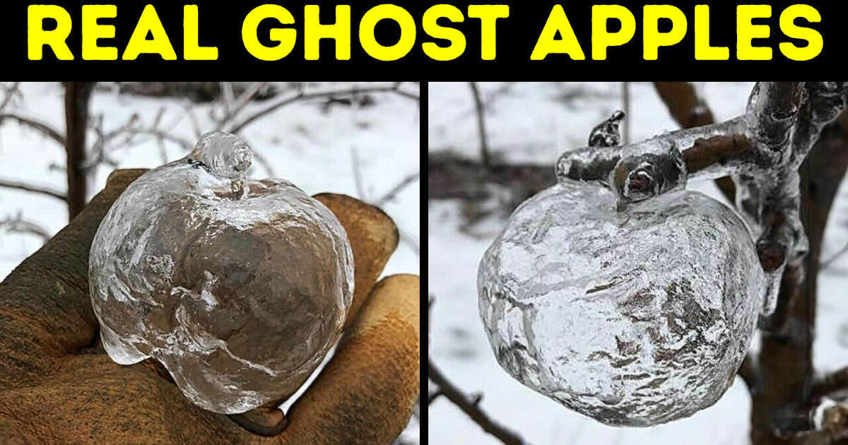 If You See a Ghost Apple, This Is What It Means