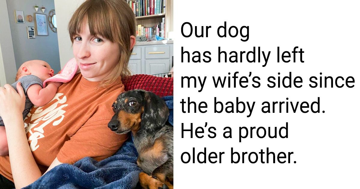 20+ Blissful Photos That Will Turn Morning Frowns Into Smiles